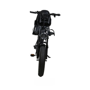 V20 Familie Fatbike Voltwheelz