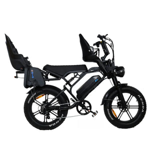 V20 Familie Fatbike Voltwheelz