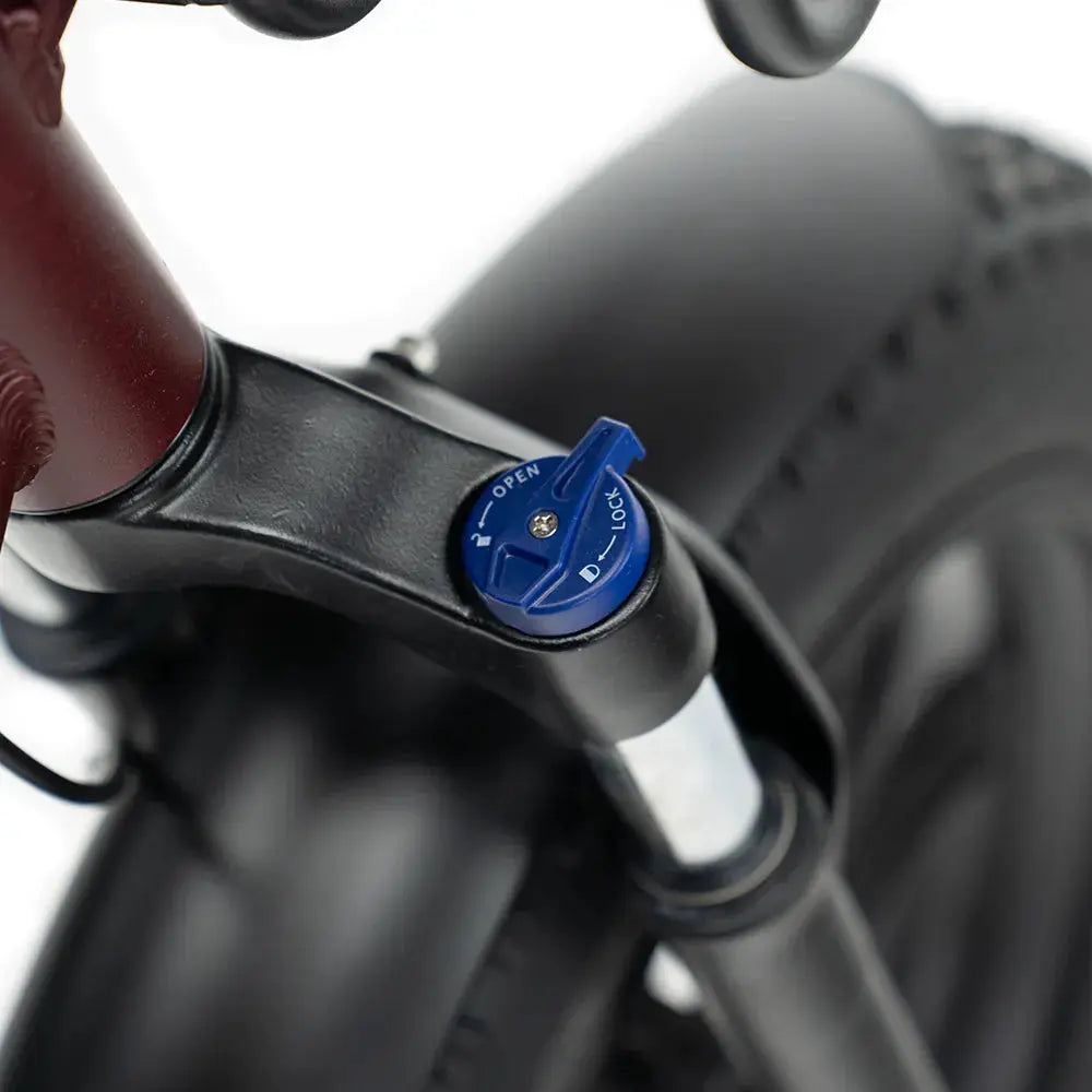 ENGWE L20 Boost - Rood Voltwheelz