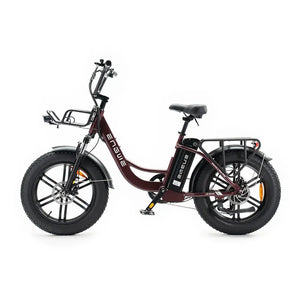 ENGWE L20 Boost - Rood Voltwheelz