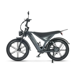 OUXI GT24 fatbike 24 inch grijs