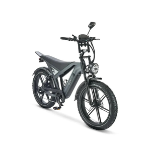 OUXI GT24 fatbike 24 inch grijs
